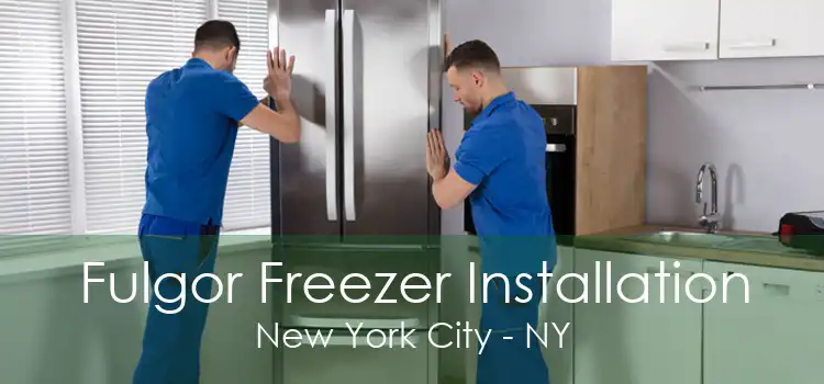 Fulgor Freezer Installation New York City - NY
