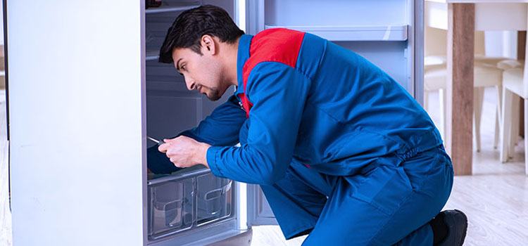 Tappan Freezer Repair Services in New York City, New York